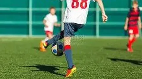 pg286娱乐平台 产品 091503 lcq