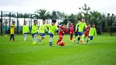 pg286娱乐平台 产品 091549 rqh