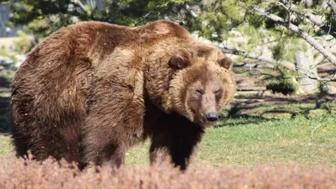 新周期集训队伍展望：老将新秀携手，聚焦接应与二传核心人才培养