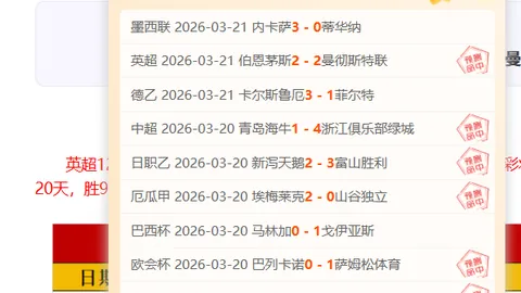 大乐透期号专家推荐：胜负总分质合分析解析