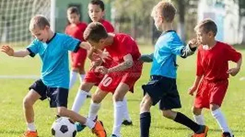 曼联对布伦特福德：五大联赛数据分析及专家推荐
